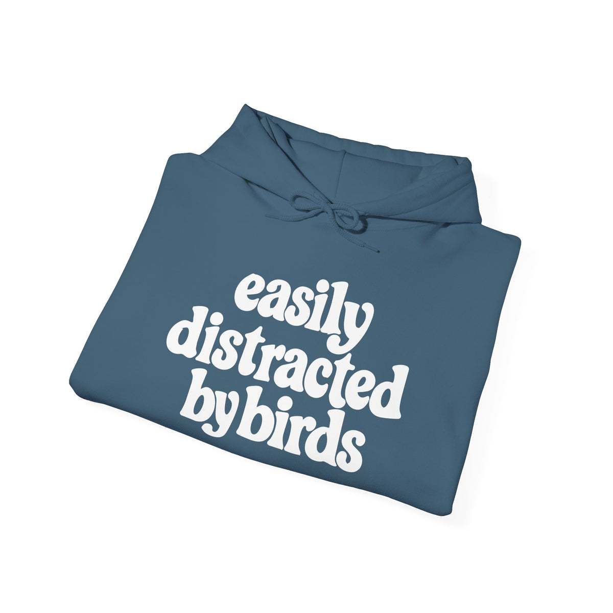 Easily Distracted by Birds Hoodie
