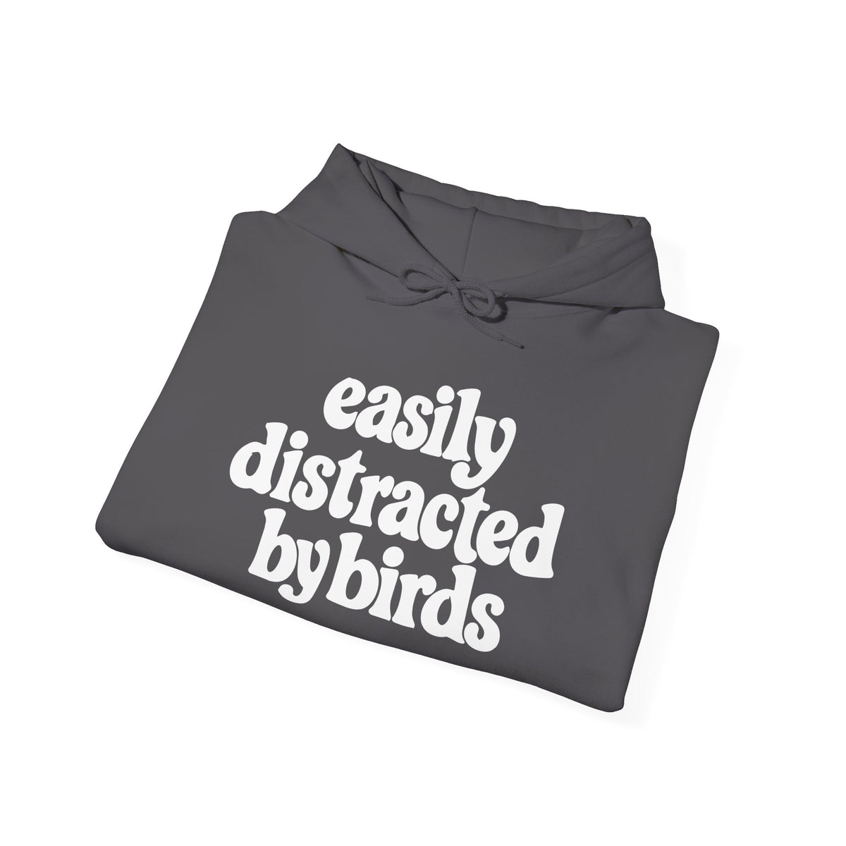 Easily Distracted by Birds Hoodie