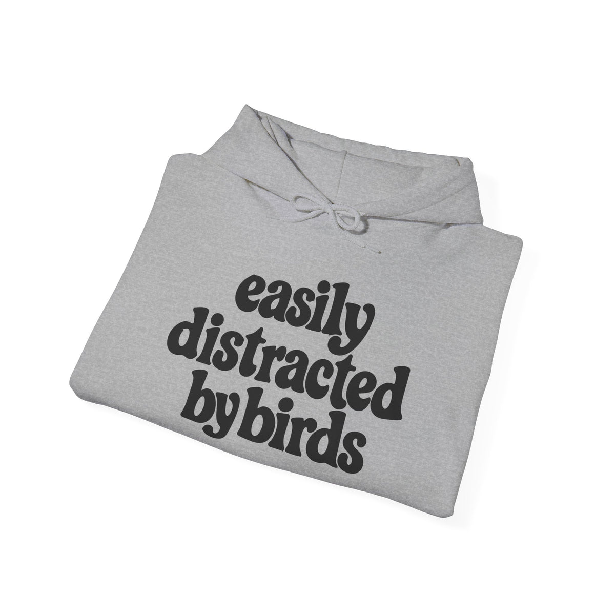 Easily Distracted by Birds Hoodie