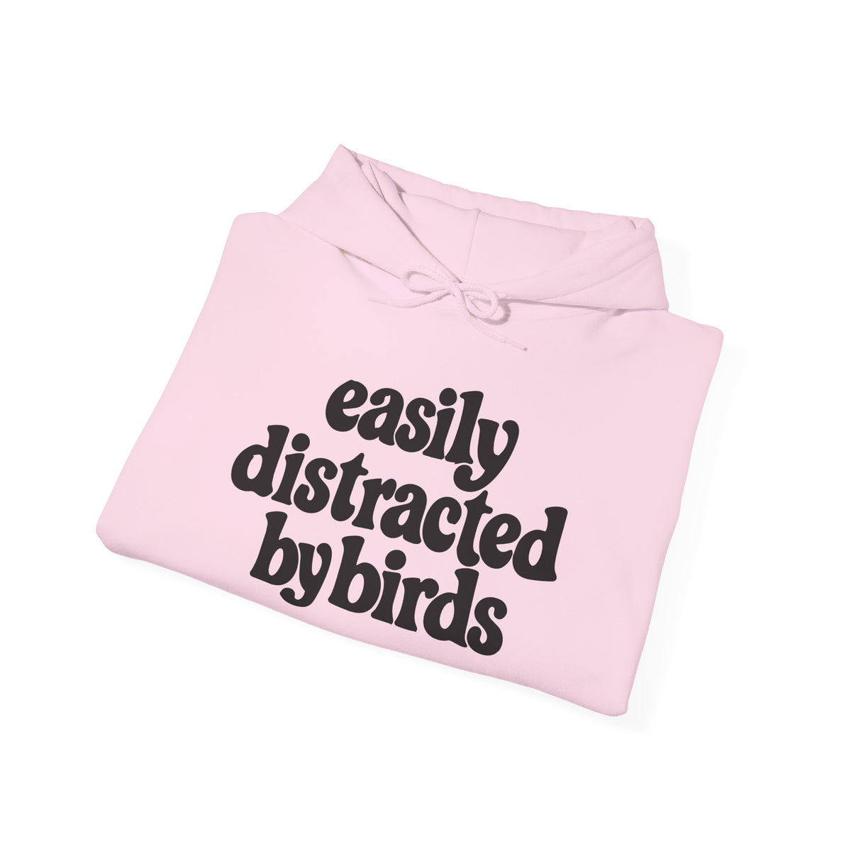 Easily Distracted by Birds Hoodie